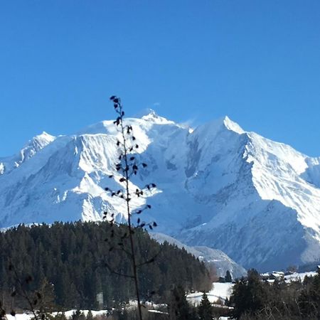Les 4 Vallees Hotel Albertville Ngoại thất bức ảnh